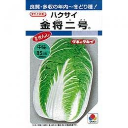 白菜 種 【 金将二号 】 種子 小袋(約150粒)