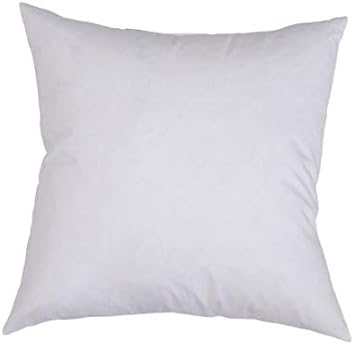 pillow form inserts