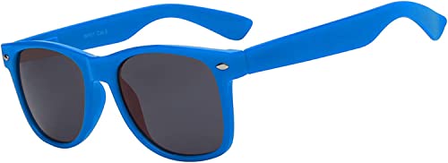 Owl Classic Vintage Smoke Lens Sunglasses Blue Frame Retro 80’S #TOP7