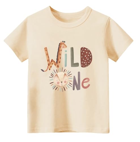Image of Toddler Boys Girls 2nd Birthday Shirt Outfit for Kids Two Years Old Birthday Gift for Party Short Sleeve Tshirt