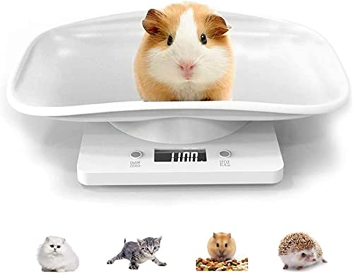 Image of Digital Pet Scale Multi-Function Food Weight Scale, Smart Small Baby Pet Dog Cat Scale 22 Pound (lbs) Capacity, Accurate Digital Scale for Baby Food Accurately /Puppy /Cat /Small Animals (1)