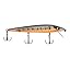 Sunbeam Golden Bass