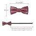 Elerevyo Men's Fashion PU Leather Single Layer Casual Bow Tie One Size Burgundy