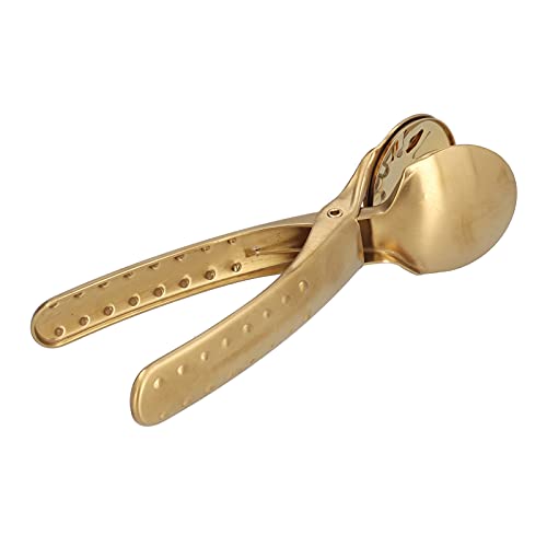Riuulity Alicates Ergonómicos para Cascanueces con Clamp/Holder de Castaño de Metal, Operación Simple, para Almendras y Nueces, 2,2 Pulgadas, 171 G (GOLD)