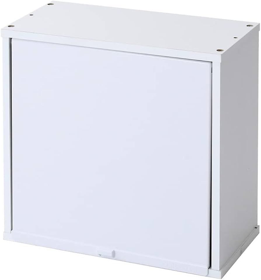 ⭐︎新品未使用⭐︎ウォールラック/扉付き（オークカラー） 壁掛け カラフル12色から選べる 扉付き 薄型 キューブボックスα ハーフ