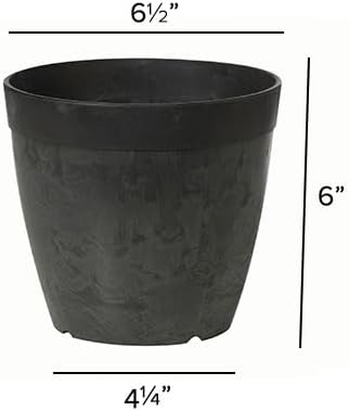 Miniatura 2 de Root & Vessel Maceta redonda Dolce, negra, 6 pulgadas