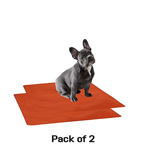 Image of Trance Waterproof Pet Training Pads | Reusable Pee Pad for Dogs Cats Puppy and Pets | Washable Pet Dry Sheet | Potty Trainer | Soft and Hypo-Allergenic (Small, Size 0.5 x 0.7 m | 50 x 70 Cms, Brick Red)- Pack Of 2