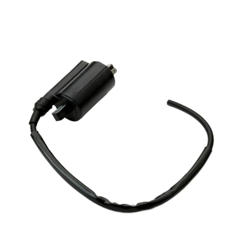 Bobine d'allumage moto X Max 125 Virago 535 TDM 900 Midnight Star 1300