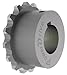 Chain Coupling Sprocket, Bore 3/4 in