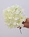 LUSHIDI 10PCS Silk Hydrangea Heads with Stems Artificial Flowers for Wedding Party Home Decor (Off White), One Size Off