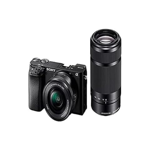 Sony Alpha 6100 with Zoom Lenses and Kit Cover