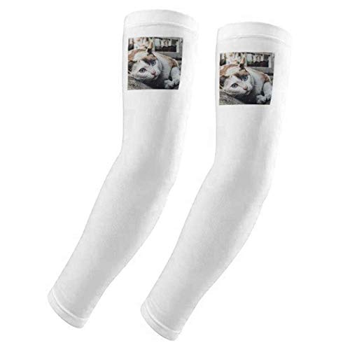 Gants de photographie contre les coups de soleil motif chat coloré respirant