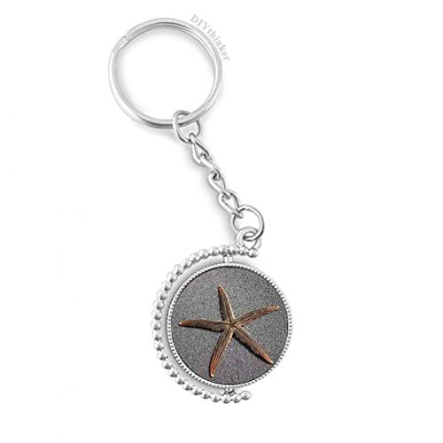 Porte-clé rotatif anneau keyholder starfish nature science gris multicolore