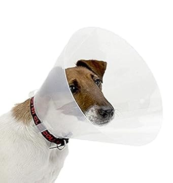 Croci Collare Elisabettiano per cani taglia XXL, Collare Elisabetta a cono per la protezione e cura di cani e gatti, previene graffi, morsi e leccate, 30 cm