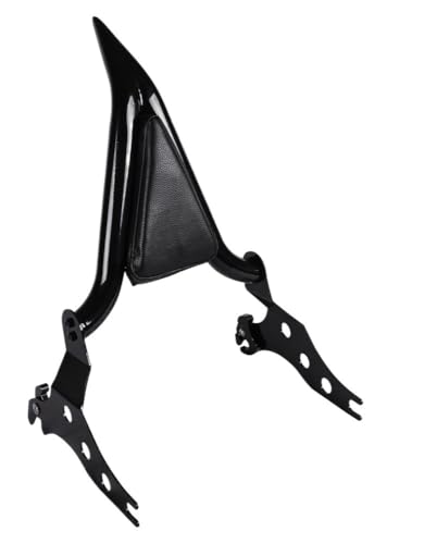 Dossier Passager Moto Finition Premium Coussin Softail 2006-2012
