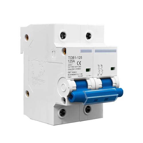 Disjoncteur miniature 2P 100A 10kA TOB1-125 interrupteur modulaire 400V