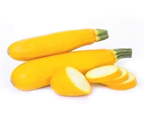 Gromax India Summer Squash F1 Hybrid Zucchini Yellow Long Seeds For Home Gardening Planting (B09T6KTZMK) Amazon Price History, Amazon Price Tracker