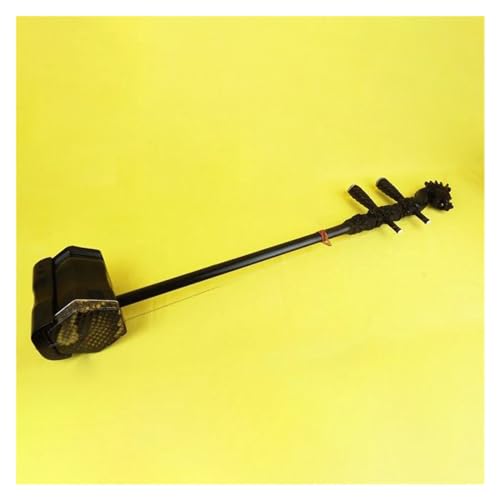 荕hhSwbhZpӃptH[}XSґlӊy v