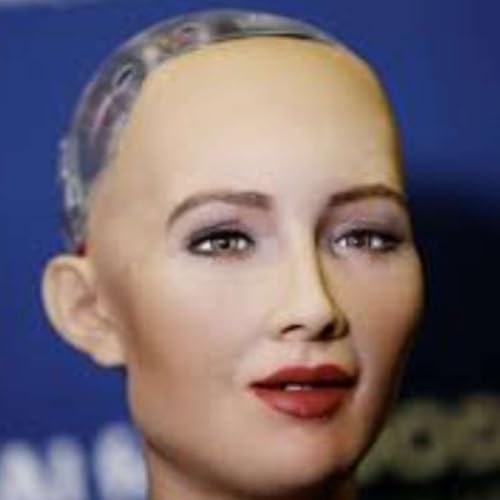 Rise of Humanoid Robots