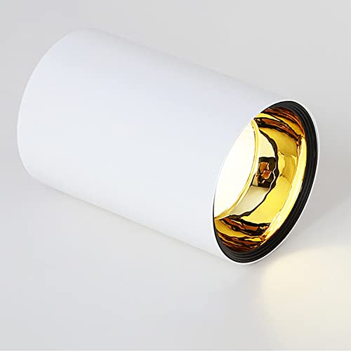Faretto da soffitto, plafoniera decorativa, Lampada da soffitto, faretto da superficie COB 5W-36W Downlight senza apertura 3000K Luce calda Lampada da soffitto LED Lampada a luce a cialda(A,18W)