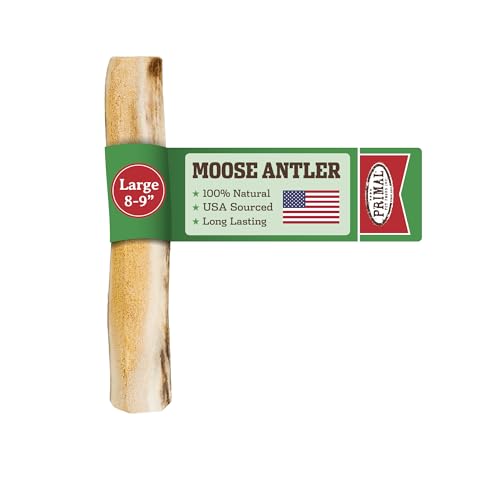 Primal Antlers for Dogs Grade A Split Moose Antlers for Large Canines 30-45 lb Natural Chews for Aggressive Chewers Naturally Shed Long Lasting Dog Bones 1 ct