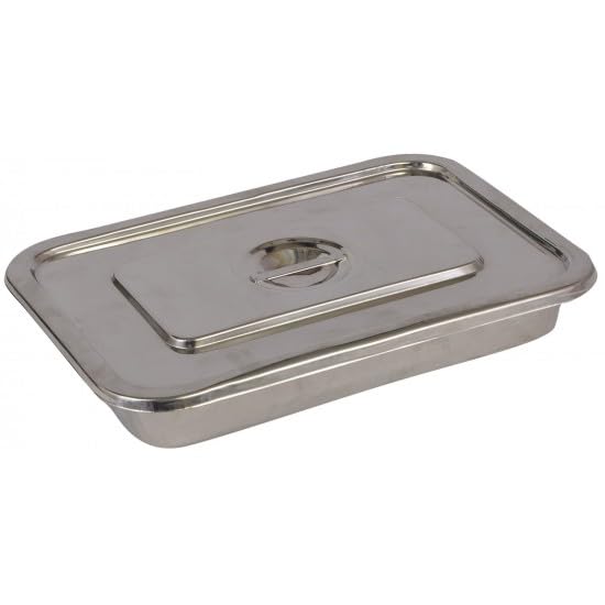 LISAMED Stainless Steel Instrument Tray With Lid For Hospitals, Training Centres, Laboratories & Health Centres (8X3 Inches) (B0CQD6J2H8) Amazon Price History, Amazon Price Tracker