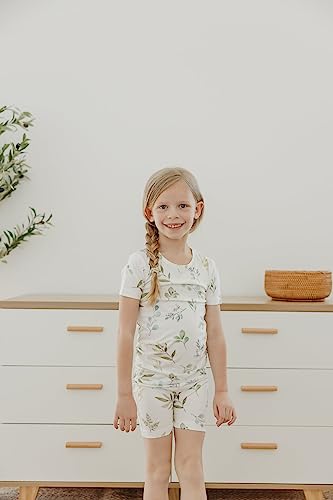 Copper Pearl Two Piece Short Sleeve Toddler Pajamas PJ Sets for Boys and Girls - Adorable Pattern Summer Pajamas Shorts to Keep Cool While Sleeping, Size 12 Months to 5T - Haven4