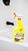 Goof Off RustAid Bathroom Rust Stain Remover – 22 oz. Spray Bottle (ESX20005)