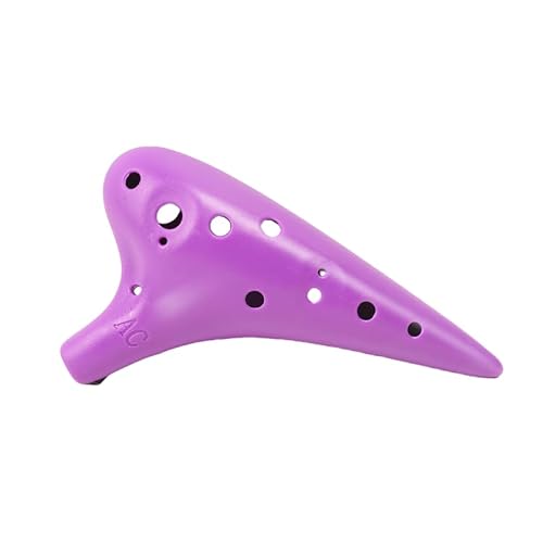 Vilom 12EACJ  SҌp 12EvtFbViy wEqp C y ϋv Kp RpNg MtgɂœK (p[v)