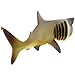 Safari Ltd. Basking Shark Figurine - Detailed 5.75