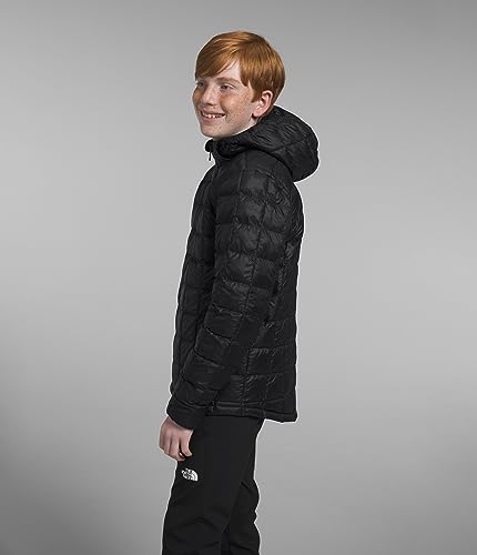 The North Face Boy's Thermoball™ Hooded Jacket (Little Kids/Big Kids)2