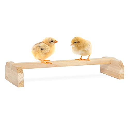 PETSFIT Chick Roosting Bar Prevent Rotation Design, Solid Wooden Thicken Rooster Perch for Coop and Brooder for Birds, Baby Chicks