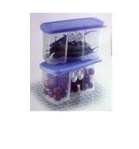 Tupperware Fridge Smart Mini Container
