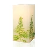 Holitown LED Flickering Flameless Real Wax Ivory Square Pillar Candle Artificial Asparagus Fern Battery Operated with Timer 3 x 6 Inch, Home Indoor Decor, 1 Pack