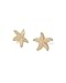 PAVOI 14K Yellow Gold Plated 925 Sterling Silver Posts Starfish Statement Earrings for Women | Chunky Ocean Starfish Stud Earrings | Hypoallergenic Jewelry
