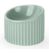 WoofinPets Ceramic Raised Cat Bowl - Tilted Elevated Cat Food or Water Bowl for Cats and Dogs, St...