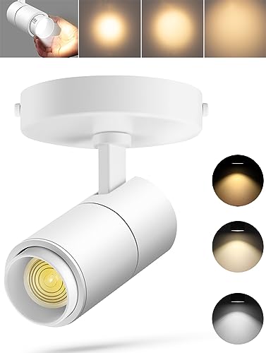 VANoopee 3-Color Zoomable Ceiling Spot Lights Indoor Flush Mount Adjustable LED Ceiling Spotlight Directional Light Fixture Dimmable Accent Light for Picture Art -CRI90 15-60° 10W 1000lm White