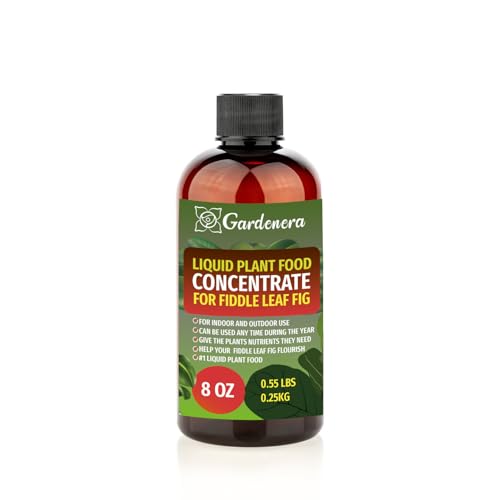 Gardenera Plant Growth Superfood for Fiddle Leaf Fig
