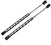 2 Pièces Voiture Avant Verin hydraulique de capot Vérin À Gaz pour Dodge Challenger Magnum 2005-2010, Support de Levage de Couvercle de Jambe de Force Anti Rouille Pièces Détachées