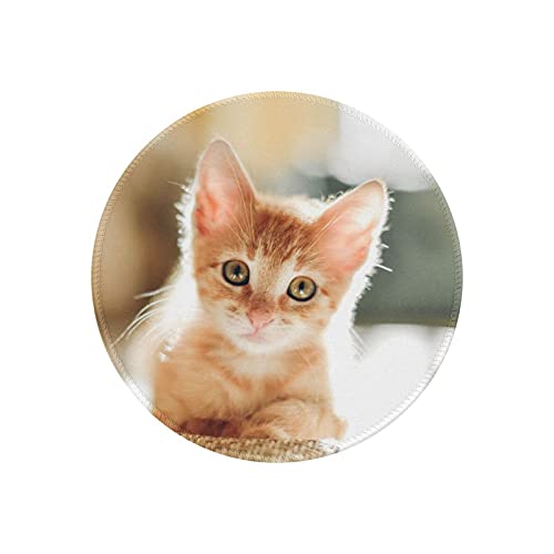 }EXpbh ی^ L    h ~ S Q[~O}EXpbh m[gp\R PC Eh}EXpbh fXN}bg ϋvǂ ItBXp rWlXp ƒp Q[p ~` 20cm