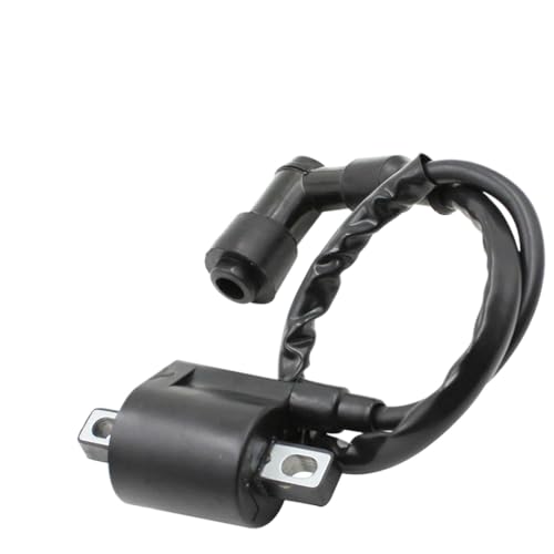 Bobine d'allumage 12v pour moto VTT et go kart 50cc à 250cc