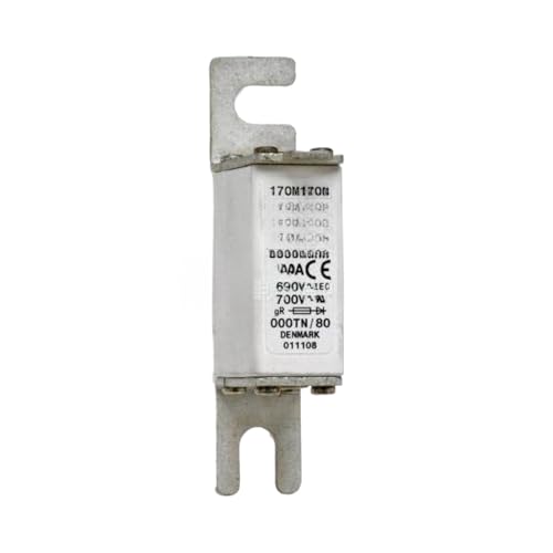 Fusible 170M1319 160A pour disjoncteur et armoire électrique triphasée