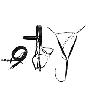 Lyfdpn Endurance Zestaw Jeździecki PVC Black