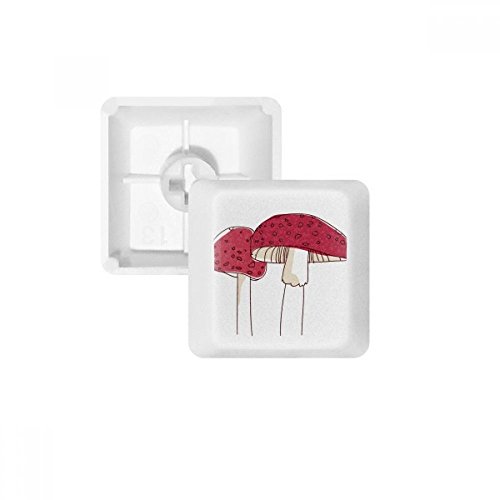 Keycaps PBT Swamm Line Poisonous pour clavier mécanique blanc épuré bureau setup