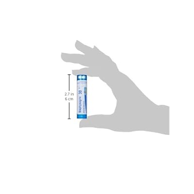Buy Boiron Staphysagria 30c 80 Pellets Homeopathic Medicine For Surgical Wounds Online In Turkey B00028o0t2