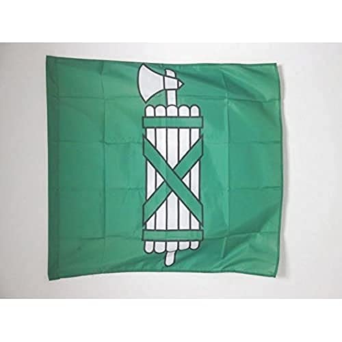 AZ FLAG, Canton of St. Gallen Flag, 3x3 Ft, 100% Polyester St. Gallen, SG Banner with Sleeve, Fade Resistant, Vivid Colors