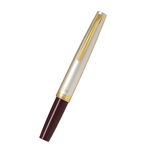 【生産終了色】PILOT 万年筆 エリート95S 細字 FES-1MM-DR-F 31vIZfBt4UL.jpg