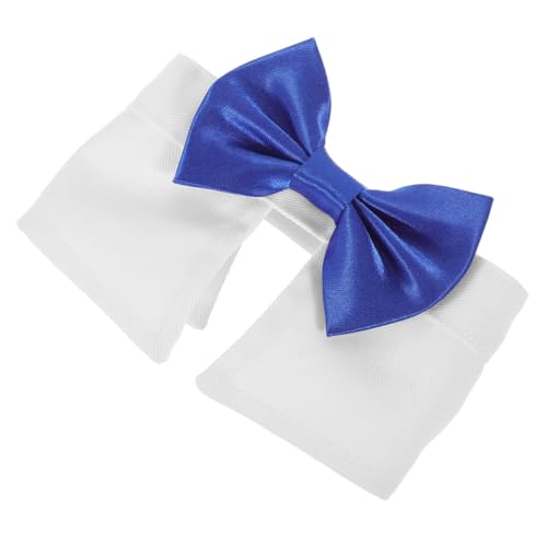 GARVALON plN^C ߉\ ȑf Lp ybgp[eB[pANZT[ KfUC