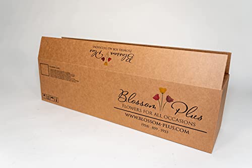 40 Stems | Natural White Hydrangeas | Fresh Cut | Farm Direct | Premium Hydrangeas At Wholesale Price | Beautiful Hydrangeas For Amazing Decorations | Blossom Plus #TOP6