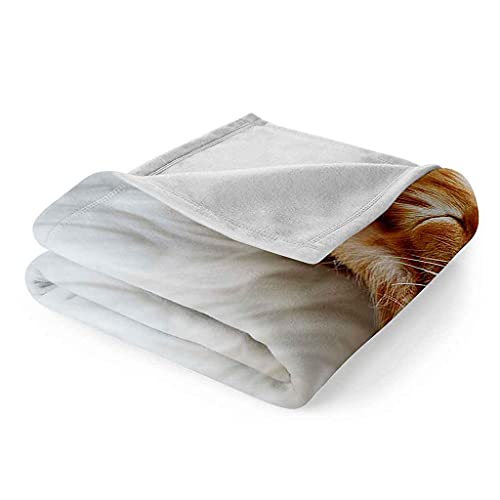 Couverture microfibre chat jaune contre le froid : profitez d'une douceur 3D